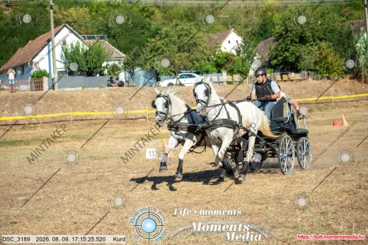 Mintakép 20260809-1511