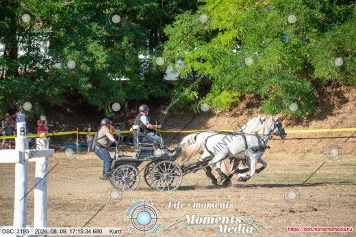 Mintakép 20260809-1516