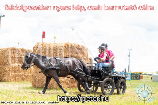 Mintakép 20260613-1653