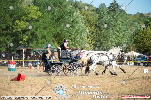 Mintakép 20260809-1532