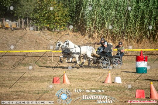 Mintakép 20260809-1537