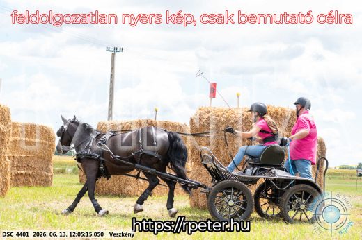 Mintakép 20260613-1654