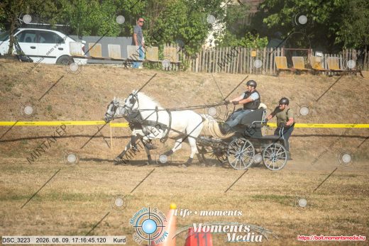 Mintakép 20260809-1542