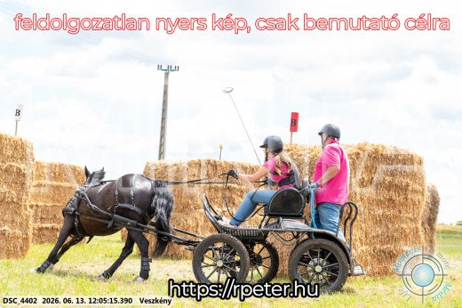 Mintakép 20260613-1655
