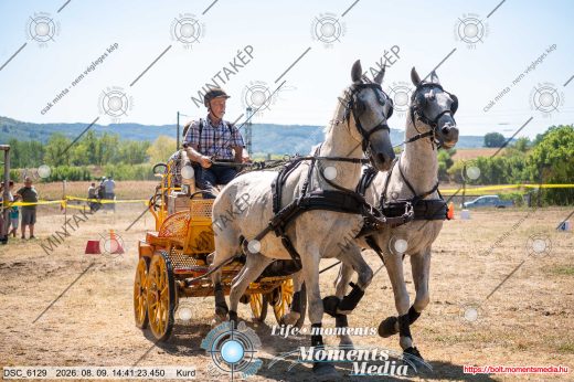 Mintakép 20260809-1558