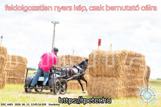 Mintakép 20260613-1656