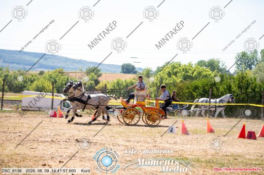 Mintakép 20260809-1565