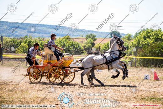 Mintakép 20260809-1566