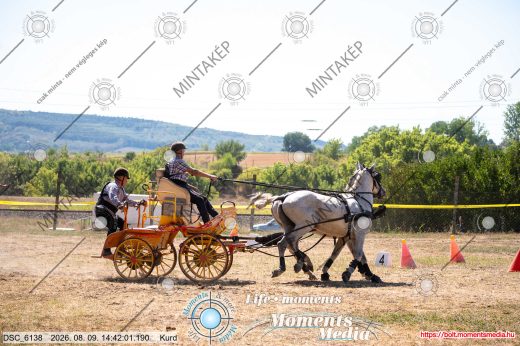 Mintakép 20260809-1567