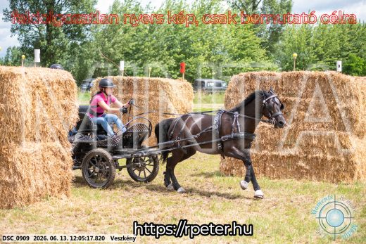 Mintakép 20260613-1657