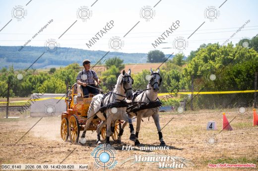 Mintakép 20260809-1569