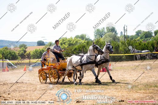 Mintakép 20260809-1570