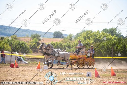 Mintakép 20260809-1577