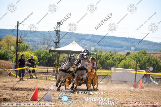 Mintakép 20260809-1578
