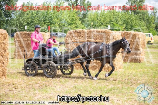 Mintakép 20260613-1658