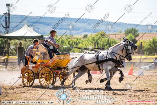Mintakép 20260809-1579
