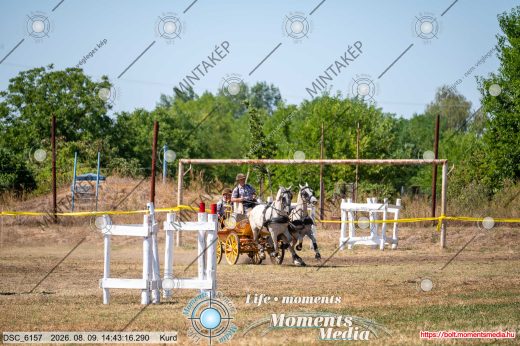 Mintakép 20260809-1580