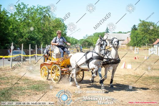 Mintakép 20260809-1582