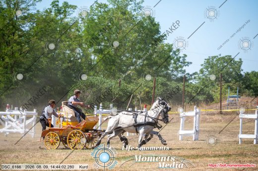 Mintakép 20260809-1585