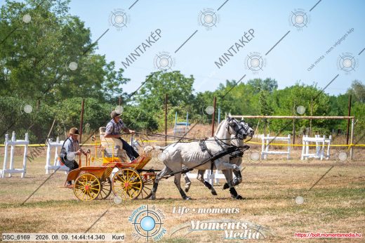 Mintakép 20260809-1586