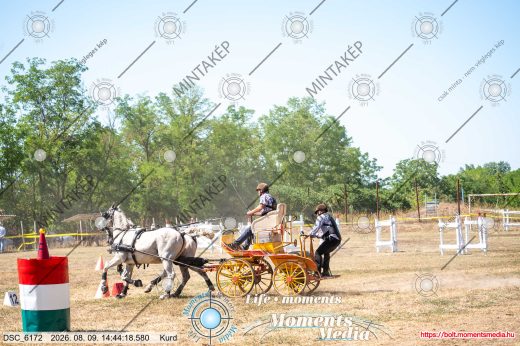 Mintakép 20260809-1587