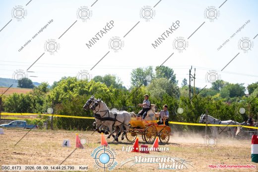 Mintakép 20260809-1588