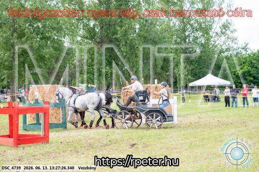 Mintakép 20260613-145