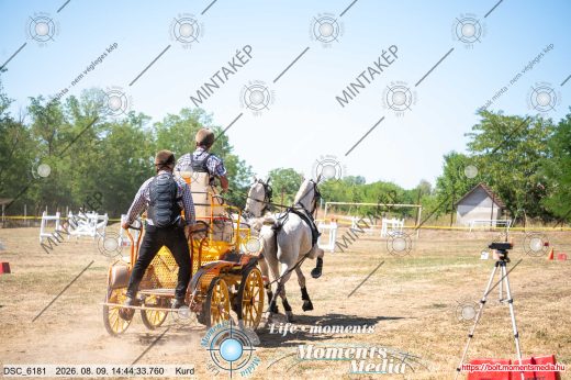 Mintakép 20260809-1593