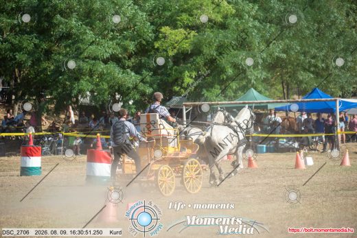 Mintakép 20260809-1598