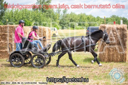 Mintakép 20260613-1660
