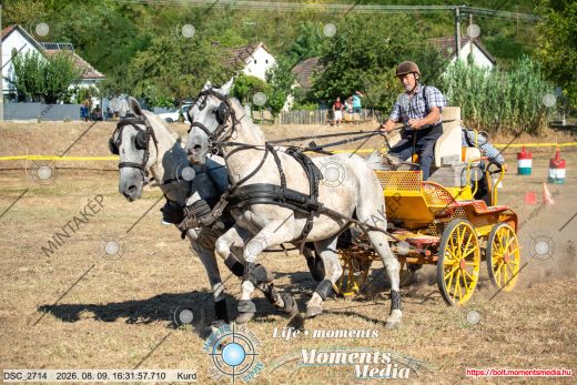 Mintakép 20260809-1604