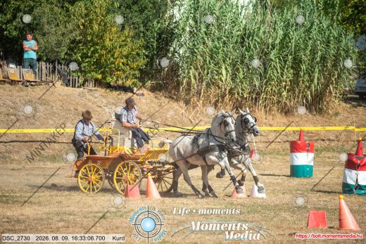 Mintakép 20260809-1615