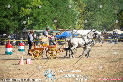 Mintakép 20260809-1618