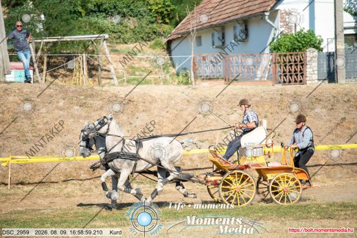 Mintakép 20260809-1619
