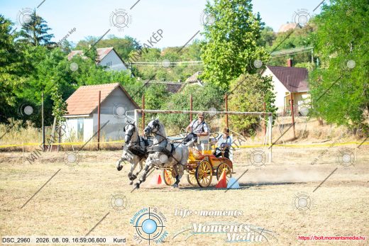 Mintakép 20260809-1620