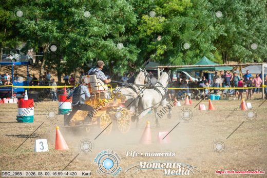 Mintakép 20260809-1622