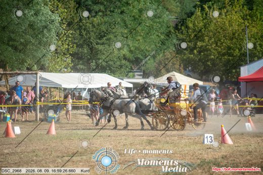Mintakép 20260809-1625
