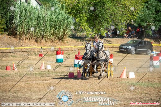 Mintakép 20260809-1629