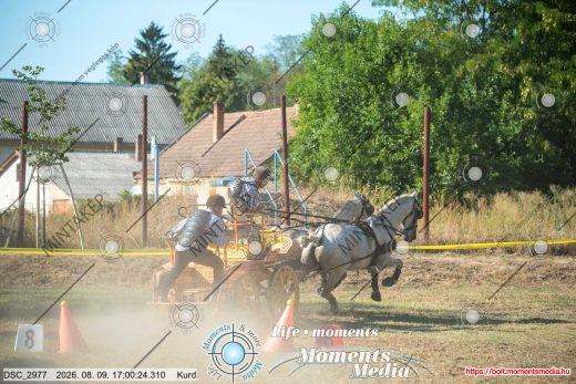 Mintakép 20260809-1632