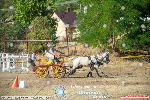 Mintakép 20260809-1633