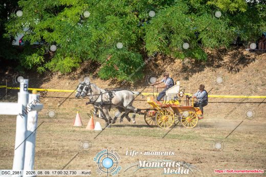 Mintakép 20260809-1634