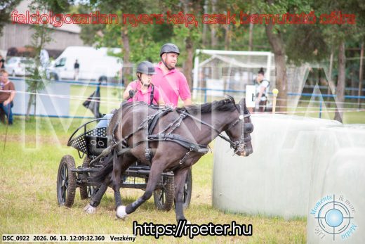 Mintakép 20260613-1664