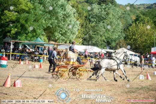 Mintakép 20260809-1641