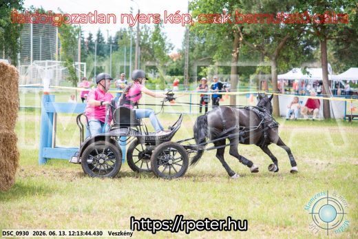 Mintakép 20260613-1665