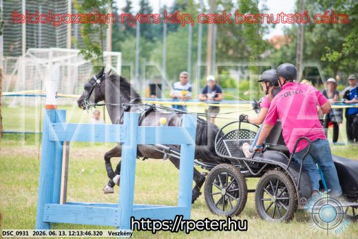 Mintakép 20260613-1666