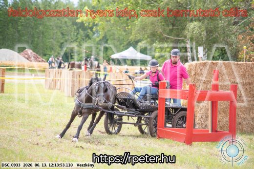 Mintakép 20260613-1668