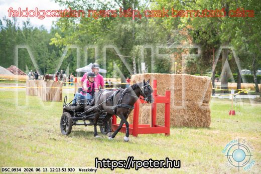 Mintakép 20260613-1669