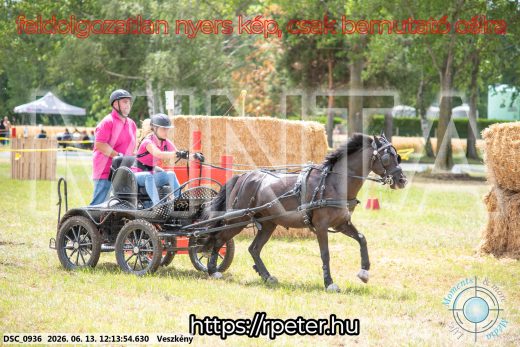 Mintakép 20260613-1670