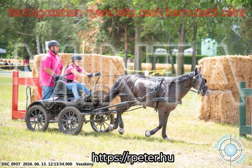 Mintakép 20260613-1671