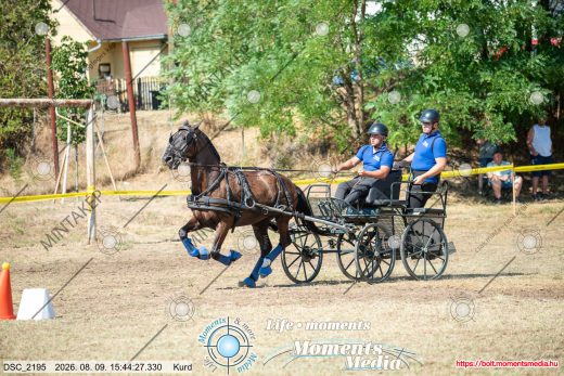 Mintakép 20260809-1675